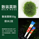 AIPHAROW散裝莫斯劃算陰性水草慕斯沉木造景草缸三角怪蕨垂淚新手入門(mén)莫絲水草 散裝莫斯50克+膠水2支
