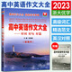 2024新版高中英語語法通霸 朱振斌語法專項訓練題練習題 高中英語作文大全好詞好句好段（新高考）