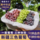 鑫果滋 新疆無核葡萄吐魯番玻璃脆無籽紅提新鮮水果現(xiàn)摘提子整箱送禮4斤 4斤【正宗新疆三色葡萄】