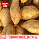 顏曼箐河北紅薯行唐老品種北京553紅薯黃皮紅薯地瓜烤紅薯甜濡 5斤 中果 0.3斤至1斤