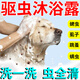 天望狗狗沐浴露殺菌除臭洗澡驅(qū)蟲止癢除螨去虱子跳蚤藥貓寵物專用浴液 一瓶裝【洗一次 就見效】