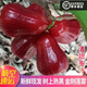 永生厚【順豐空運(yùn)】海南黑金剛蓮霧果新鮮樹(shù)上熟現(xiàn)摘當(dāng)季熱帶水果脆甜 5斤精選大果18-21個(gè)