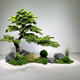 豐庭仿真迎客松樹室內(nèi)綠植景觀大型假松樹玄關(guān)樓梯下樓梯間裝飾造景 （迎客松）套餐1 （1.2高1.8長）