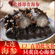 大連即食海參底播遼參遼刺參海參全熟單個獨立包裝海參新鮮海鮮禮 2斤優(yōu)享裝【單個獨立包裝】 13-18只/斤 大連即食刺參