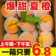 【現(xiàn)貨秒發(fā)】夏季臍橙子新鮮應(yīng)季水果超甜整箱批發(fā)薄皮非贛南臍橙 帶箱9—10斤 大果（超值）