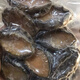 海鮮冷凍小鮑魚肉450-500個鮮活去殼凈肉深海鮑魚 30-35粒特大鮑魚肉1斤