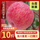 洛川蘋果【順豐】陜西洛川紅富士洛川蘋果產(chǎn)地直發(fā)脆甜可帶皮吃新鮮甄選 90mm 果8.5斤12±顆有空格