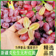 正宗新疆吐魯番克倫生紅提無(wú)籽新鮮水果應當季脆甜葡萄無(wú)核提子 4斤新疆克倫生【精選果】