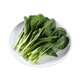 七鮮【有機(jī)】菜心苗250g