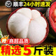 夢茜兒順豐 泰國進口山竹 6A大果5斤油麻竹新鮮水果當季孕婦生鮮批發(fā) 5斤凈重 (5A特大果3-6個/斤) 順豐