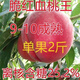 紅血桃王桃樹(shù)水果苗新品種脆紅血桃樹(shù)苗:特大南北方種植離核濃甜 1年苗【5棵】