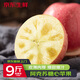 裕農(nóng)叔【JD速發(fā)】阿克蘇蘋果正宗新疆冰糖心水果新鮮紅富士當季丑萍 500g裝(小試嘗鮮裝) 商超A+精選果80mm+
