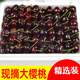 贛馨園 美早大櫻桃大連國(guó)產(chǎn)大櫻桃水果車?yán)遄有迈r應(yīng)當(dāng)季孕婦水果 J級(jí)大果 250g 1盒裝