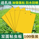 精邦雙面防水裝粘蟲(chóng)板黃板誘蟲(chóng)板滅蟲(chóng)板果園大棚粘板誘蟲(chóng)板粘薊馬 20*10cm黃色雙面覆膜(100張)