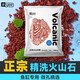 YEE黑色火山石大塊顆粒石英砂溪流石火山巖濾材魚缸造景底砂陶粒 【紅色】天然火山石5-10mm