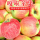 皓謙陜西嘎啦蘋果水果新鮮10斤當(dāng)應(yīng)季脆甜紅嘎啦加力冰糖心丑萍果 5斤 人工優(yōu)選大果