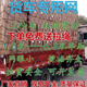 旭力貨車(chē)網(wǎng) 安繩尼龍網(wǎng)汽車(chē)用品網(wǎng)罩耐磨網(wǎng)繩封車(chē)網(wǎng)貨車(chē)網(wǎng)罩繩 5x6米網(wǎng)眼10厘米的