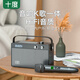 十度（SHIDU）天籟T6家庭ktv音響套裝hifi發(fā)燒級k歌音響樂器音箱低音炮戶外直播專用帶聲卡功放一體機(jī) 深空灰【話筒版】