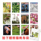 【拍下贈(zèng)小熊貓帆布袋】小聰仔2022年全年科普版 1-12月份期刊雜志2-6-8歲寶寶孩子小學(xué)生啟蒙認(rèn)知早教親子共讀科普百科書籍暑期閱讀暑假自主閱讀課外讀物書