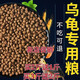 龜糧通用顆粒烏龜飼料小烏龜料草龜鱷龜巴西龜補鈣蝦干魚干蟲龜食 500g散裝(買2實收3.買3實收5) (中粒2mm適合50g-100g龜)