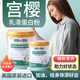膳食逅宮櫻乳清蛋白粉美國進(jìn)口蛋白質(zhì)粉特膳分離乳清蛋白營養(yǎng)補(bǔ)充蛋白質(zhì) 1罐裝+1個搖搖杯