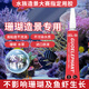 威力頓國象珊瑚專(zhuān)用膠海缸造景P水族SPS膠水LPS超能魚(yú)缸海水珊瑚紐扣基座活石水草莫斯啫喱膠可水下操作 國象珊瑚超能膠20g(送指套)