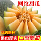 中科茂華（ZHONG KE MAO HUA）甜瓜種子 京蜜一號早熟香瓜種子雜交薄皮抗病 甜瓜種籽春季瓜種子 網(wǎng)紋甜瓜種子10粒(果肉橘紅色)