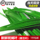 曠古農(nóng)業(yè)【順豐】斑斕葉新鮮香蘭葉 斑蘭葉 250g