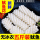愷蒂鮮 【精選5斤魷魚花】目魚花墨魚花冰凍海鮮鮮活魷魚卷 精選魷魚花/5斤