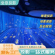 裸眼3d全息互動(dòng)投影主題館會(huì)議室酒吧KTV酒館火鍋店投影儀融合器 沉浸式全息投影 方案