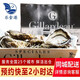 樂食港【活鮮】 Gillardeau吉娜朵 法國生蠔鮮活進(jìn)口吉拉多牡蠣  N0（180-200g/只 12只）