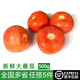 綠食者新鮮大番茄500g 生吃沙瓤西紅柿炒蛋食材農家蔬菜