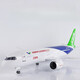 IGIFTFIRE中國商飛C919飛機模型帶輪子帶燈仿真民航客機靜態(tài)航模合金禮物 20厘米合金帶起落架【無(wú)燈】