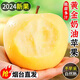 山東黃金奶油富士2024蘋果正宗煙臺(tái)奶油蘋果冰糖心應(yīng)當(dāng)季鮮果整箱 凈重4.5斤大果（80-85mm）