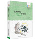 老蜘蛛的一百張床/百年百部中國兒童文學(xué)經(jīng)典書(shū)系