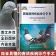 正版包郵 新編賽鴿疾病診療全書賽鴿子高效養(yǎng)殖技術(shù)大全書籍賽鴿常見病診治方法書科學(xué)鴿字飼養(yǎng)喂養(yǎng)治療賽鴿養(yǎng)殖書籍養(yǎng)信鴿子書籍 F