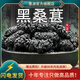墨源桑葚中藥材新疆干桑椹茶黑桑葚桑甚干子新鮮長果干非野生泡水酒粉 桑葚500克【新貨】