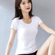 純棉白色t恤女短袖修身顯瘦夏季短款純色緊身打底衫氣質(zhì)內(nèi)搭上衣 白色 XL（105斤116斤
