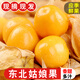 荔口?，F(xiàn)摘薄皮東北姑娘果黃皮果燈籠果小金豆黃菇?jīng)龉脹龉迈r菇娘果 產(chǎn)地直發(fā)【1斤】 姑娘果【SF快遞】產(chǎn)地直發(fā)