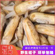 蟶子鮮活6斤大竹節蟶子王無(wú)沙蟶王肉海鮮水產(chǎn)貝殼類(lèi)海蟶子圣子肉 蟶子鮮活2斤