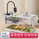 闊庭（KUOTING）魚龜混養(yǎng)缸烏龜專用缸升降爬臺(tái)家用客廳辦公室生態(tài)造景過(guò)濾缸白色