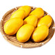澤鮮達(dá)海南小臺(tái)農(nóng)芒果 新鮮小臺(tái)芒當(dāng)季熱帶水果樹(shù)上熟甜芒果禮盒整箱 2斤優(yōu)選裝