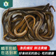 仙湖 黃鱔長魚 湖南野外生長捕捉新鮮土鱔魚 順豐包活到家 （每條5兩以上）1斤裝