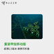 雷蛇（Razer）重裝甲蟲移動版鼠標墊織物布墊游戲cf吃雞神器lol 重裝甲蟲移動版