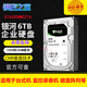 希捷6TB企業(yè)級監控硬盤(pán)機械ST6000NM021A/019B錄像機nas存儲服務(wù)器 6TB ST6000NM021A