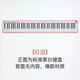 Sevinia標(biāo)準(zhǔn)1:1 仿真88鍵鋼琴鍵盤練習(xí)紙 指法練習(xí)手卷鋼琴 五線譜鍵盤圖 88鍵布面黑膠底單面紅邊