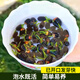 花翁碗蓮種子水培植物荷花盆栽花卉 蓮籽混色60粒+盆+液源頭直發(fā)