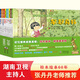 鈴木繪本郁金香系列--好習(xí)慣養(yǎng)成我真棒（親子共讀繪本全10冊）適合2-6歲閱讀