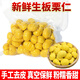 風(fēng)車車農(nóng)場(chǎng)新鮮板栗仁 生板栗仁 去皮去殼真空板栗仁 油栗 毛栗子 500g*1袋
