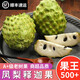 鼎宴堂（DINGYANTANG）【順豐發(fā)貨】泰國(guó)釋迦果大果釋迦水果佛頭果新鮮水果 5斤凈重（4-6個(gè)果）